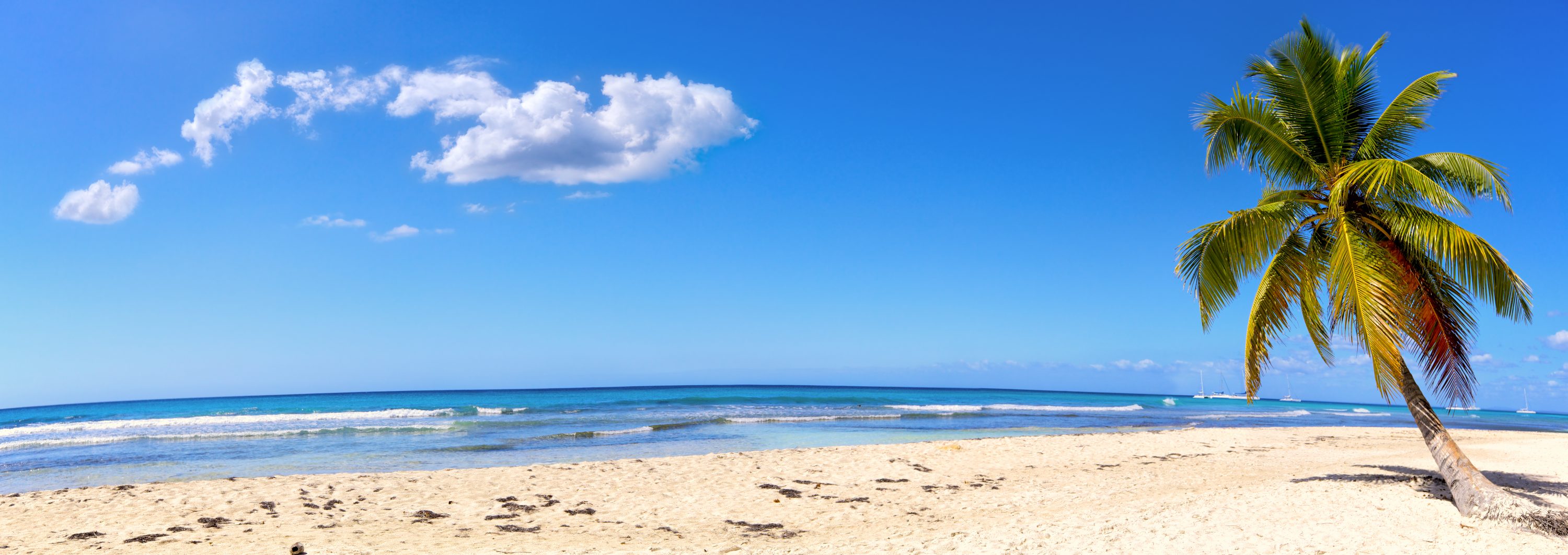 Sand beach panorama